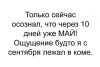 SaPgrYbqQZo.thumb.jpg.8cd09dd0490fa3ba2690b2eb12dbf5b4.jpg