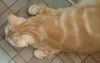 _20180318_123919.thumb.JPG.3121c07de15dd1be125f92c98ac8d175.JPG