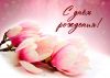 image.thumb.jpeg.caae325b5f6a3f816161021c0b1ede0f.jpeg