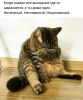 orxsXVf4osk.thumb.jpg.30bd3849cb140f5fc79b6a2a962d364c.jpg