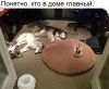 v0Gxr-K6NbI.thumb.jpg.7d5acfaeb6a8ccb260416fac452faecd.jpg
