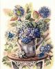 Hydrangea and butterflies