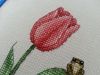 11.thumb.jpg.023bdec44cbc60f5215bcac88f570fc8.jpg