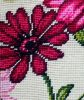11.thumb.jpg.3de54288cde15cc7ae5108ae231d5d55.jpg
