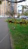 1474596F-41CD-4B35-BB13-DE6C7528DDE0.thumb.jpeg.0f40e30997c6572ea3b408f0b5cd1421.jpeg