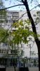 161F52DB-94AC-4FC4-B486-10CCE8FDBAAC.thumb.jpeg.88fdceb289b065713e4ece6f83c81185.jpeg