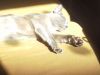 20170410_153258.thumb.jpg.62bd3e8c7efae9357a4ae5acb68dc826.jpg