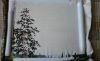 20180214_105900.jpg