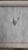 20180226_231240.thumb.jpg.2d4841f8bee2134c31a89fc6f1543faa.jpg