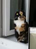 20180505_145700.thumb.jpg.13a33becf67ecb8f9a1e57202e1a8820.jpg