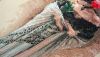 20180507_155334.thumb.jpg.dafd9c467927c390ccf44ce00ea40112.jpg