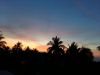 20180509_010406.thumb.jpg.f7e8959b52ba91309c66cd11c904891d.jpg