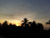 20180509_012727.thumb.jpg.c5b3f949c63b7de3b1fba79e23b639f1.jpg