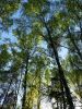20180509_164253.thumb.jpg.01a592b06d47f7f65f47e61a5b22cd19.jpg