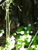 20180509_170816.thumb.jpg.cba1d7fe8e3ec69fbd5f69f4c18c6aa4.jpg