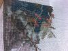 20180511_112503.thumb.jpg.a303f81c6ec6aef699976efc5058dbe1.jpg