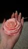 20180513_230323.thumb.jpg.8498641b603e70a8333d0f28e5b04806.jpg