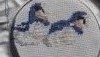 20180515_082724.jpg