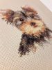 20180516_204529.thumb.jpg.e6708f778bb677e90195afad5abbad6d.jpg