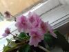 20180519_103108.thumb.jpg.ebb97d2b7000997f4967ff5add920482.jpg