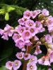 20180519_144635.thumb.jpg.beb92f8dd85df444b8115cf88c8f98a4.jpg