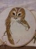 20180524_123816.thumb.jpg.fd3e75795b6c7fae82c8894175bd6330.jpg?1527133970477