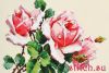 29832.thumb.jpg.eec8d9984f32d8ddf6624ac7058aa02d.jpg