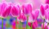 2fons.ru-84831.thumb.jpg.d40feffe9f65003c80a1d3a42e09b74b.jpg
