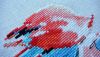 3.thumb.JPG.4e0f410cfc2b184abce965226f521003.JPG