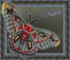 3795.0x200.thumb.jpg.4cbdfdfe1aefbc60f111ed0b81a6f7fc.jpg