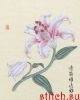 Xiu Crafts 2801301, Lily