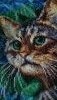 5aed2c2d8e986_2.thumb.jpg.cf4509c988742fa4b1e5c0b87e8f70f1.jpg?1525492790127