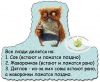 5af8f9a8efa69_.thumb.jpg.697cd812acb6953a128a30a6191c6f81.jpg