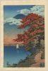 5b058aa884fb5_4571_Hasui_LakeChuzen(1).thumb.jpg.88ae283f13de8f2246cfd70c54e50a9d.jpg