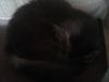 6.thumb.jpg.dafa6b45087131aeda329843afda8e69.jpg