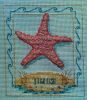 BeStitched Needlepoint, Seaside Starfish