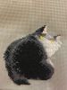 8.thumb.jpeg.83a9ab1c23ad753d8ed8efceb65ccf85.jpeg