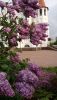 A407B0C2-5619-4208-AADE-F50BB26637CE.thumb.jpeg.9b4574da4b86d8d269a2f3b0da37b641.jpeg