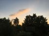 A5874409-C7EA-41A6-8135-CFF4328CFFD6.thumb.jpeg.83fd025f7f73e94949701415bc66f695.jpeg