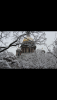 C7BACF19-163D-49D8-9F9A-3052742D2BA5.thumb.png.51132aa2f1864403075191c276f918ae.png