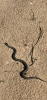 D4FB787C-9B6B-4F94-9EAE-1A4FFD42ED45.thumb.png.59ac973ff81a791dc81371e5b82537cd.png