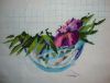 DSC00053.thumb.JPG.556b947a17bbbf9d72fde6ad9ddcf4da.JPG