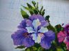 DSC00638.thumb.JPG.506c4f98b412e7df7c465d49c6fb4ba0.JPG