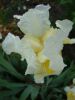 DSC00688.thumb.JPG.cbaeebfc1f09c7a44b428c1de691a2ee.JPG
