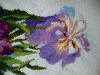 DSC00742.thumb.JPG.e23eeebe58faca101e88ff5c3f1842fa.JPG