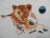 DSC02328_.thumb.jpg.ae56bbc9256b776e7f201d237e346e2b.jpg