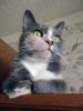 DSC02330_.thumb.jpg.237e7eb90ca23d26dd1e80d2de7459ea.jpg