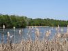 DSC02345_.thumb.jpg.ba008a1f9dab28a0a125f91da7e556ef.jpg