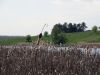 DSC02348_.thumb.jpg.c95d1696a8976975406159b16c0ef8e6.jpg