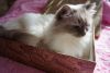 DSC03152.thumb.JPG.5635e42d2a054f9c3646590cc00a6a64.JPG